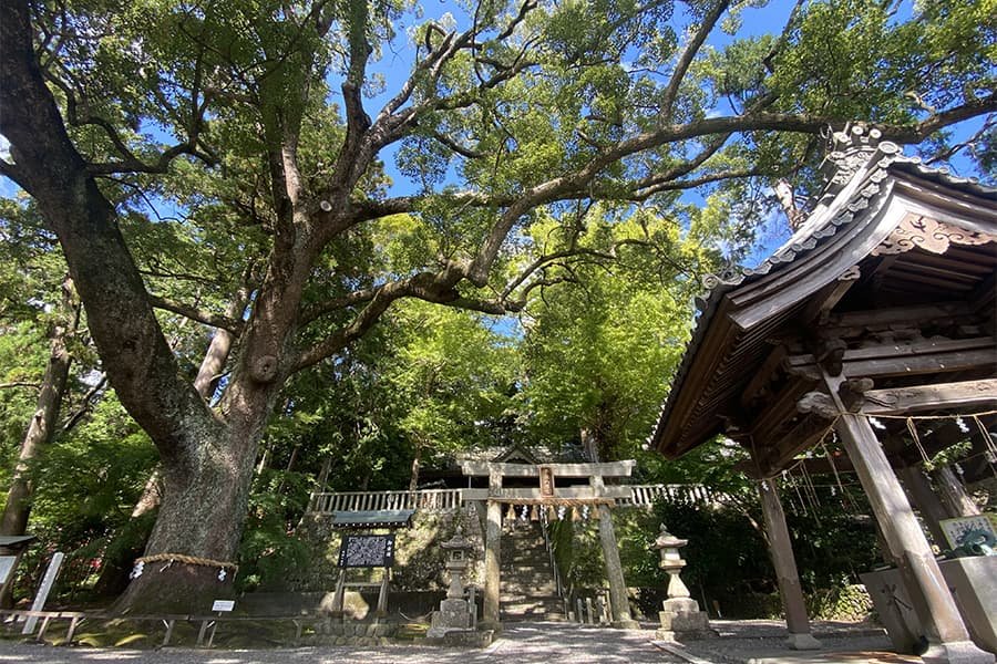 ⛩️ 고토노마마 하치만궁(코토노마마 하치만구) 이미지 1